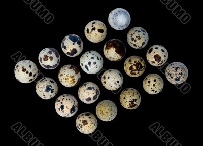 Quail eggs