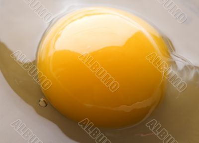 fried eggs