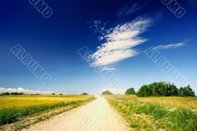 Macadam Road