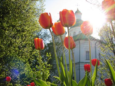 church in flovers