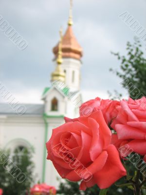 church in flovers