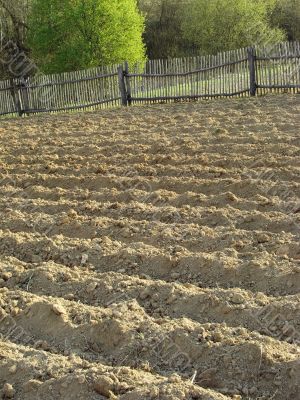 plowed field