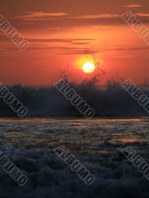 Indian ocean