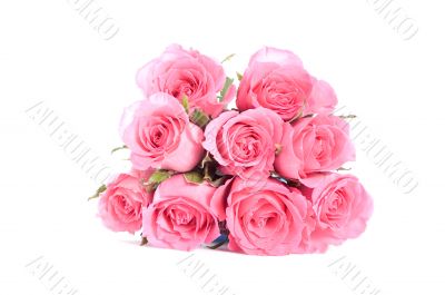 Pink roses bouquet