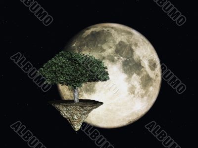space tree