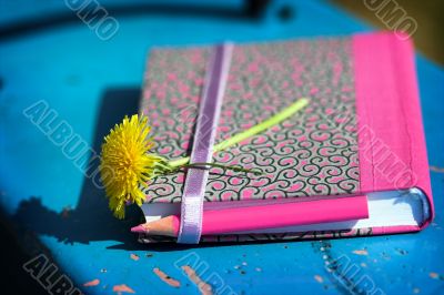 notebook,pencil and flower