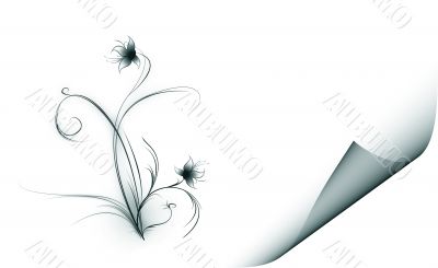 Fantastic flowers