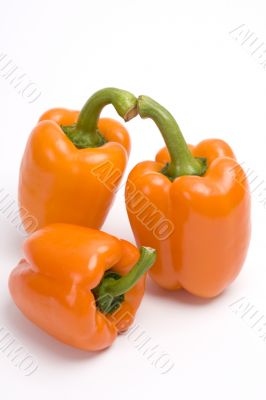 Three orange sweet peppers.