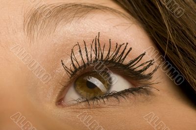 eye