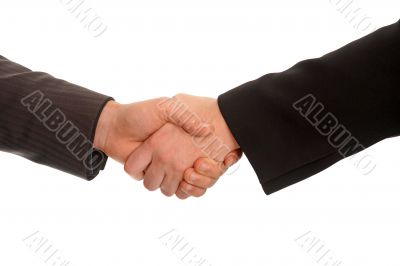 handshake