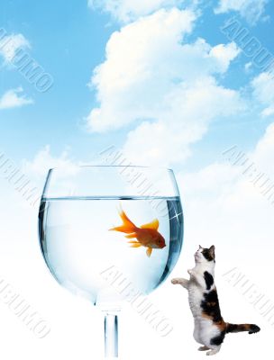 Cat and fish