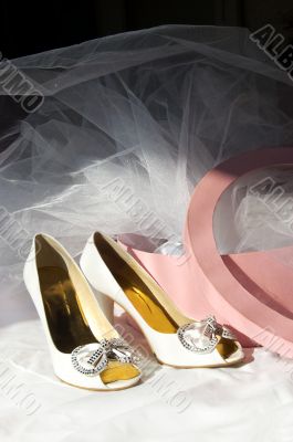 Wedding shoes, box and veil