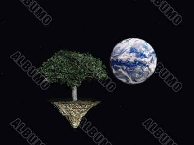 tree in space