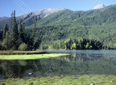 Landscape at Kanas Lake,China