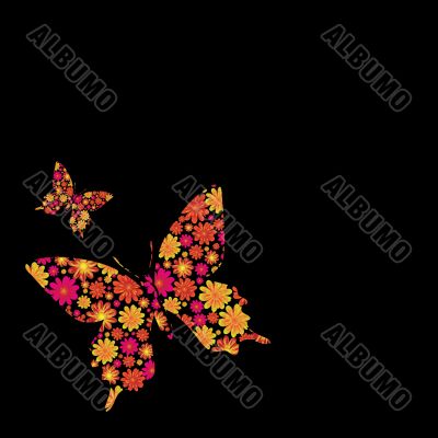 butterfly floral
