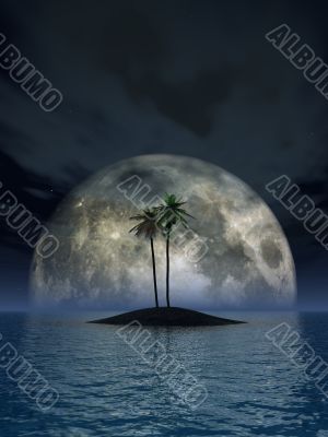 palms