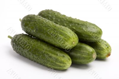 Vegetables - cucumbers