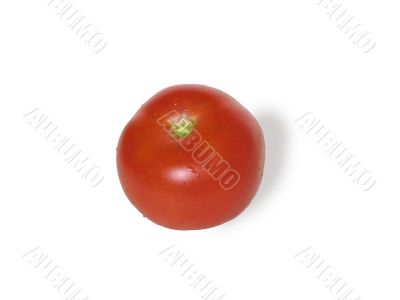 One tomato isolated on a white