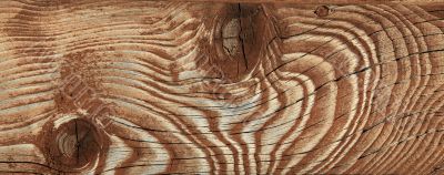 wood texture