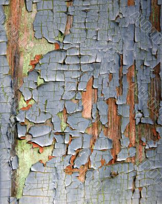 texture