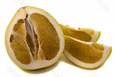 Citrus grandis