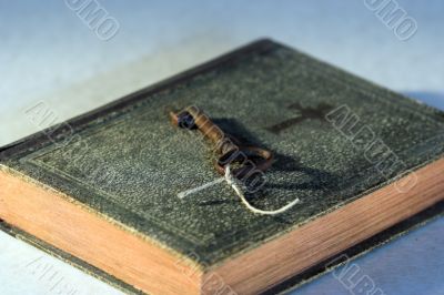 old book and  key