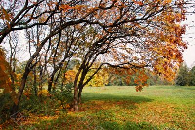 Autumn landscape