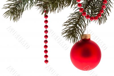 Red Christmas ball with fir branch