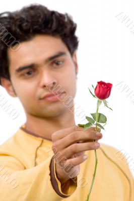 Handsome with red rose