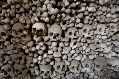 human bones and skulls