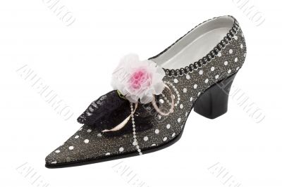 Lady shoes elegant