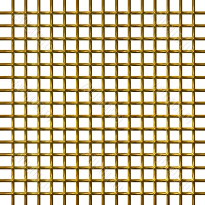 3D Golden Net