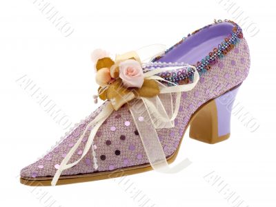 Lady shoes elegant