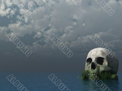 skull