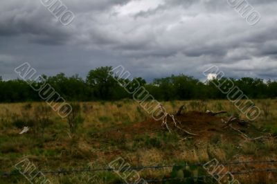 Storm Approaches