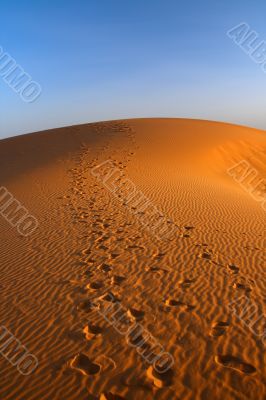 sunset over Sahara desert