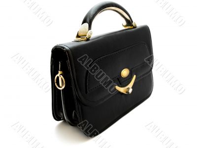 female bag