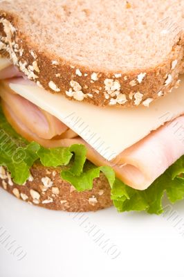 healthy turkey