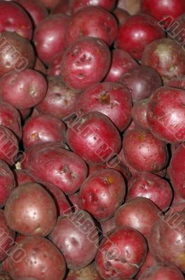 Potatoes