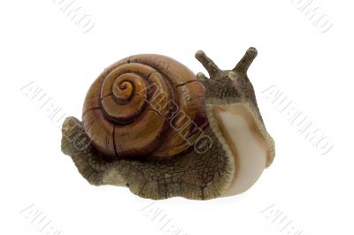 Snail