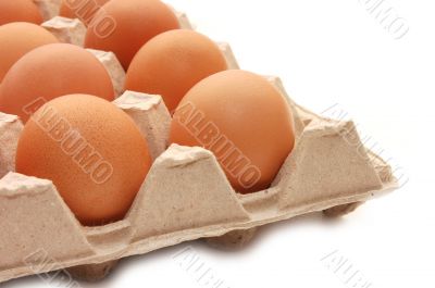 Eggs in tray