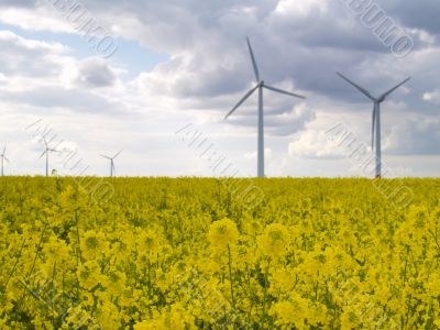 wind power plants