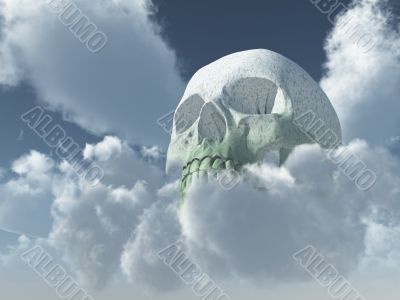 skull