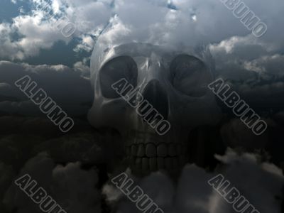 skull