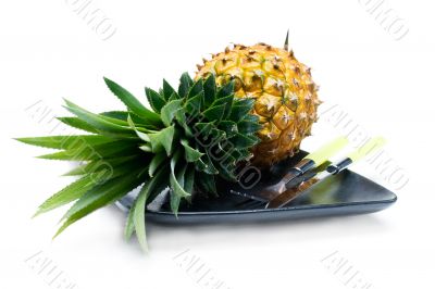 pineapple