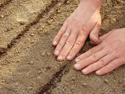 sowing seeds