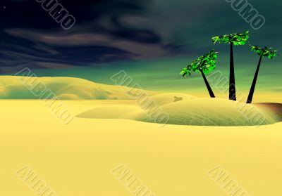  Night desert