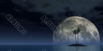 palms