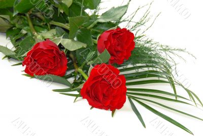 Red roses
