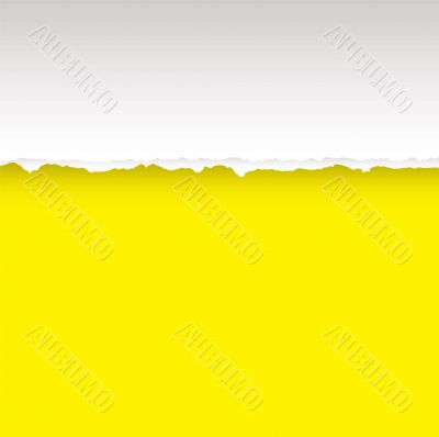 yellow tear divide